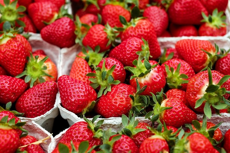 European Food Market